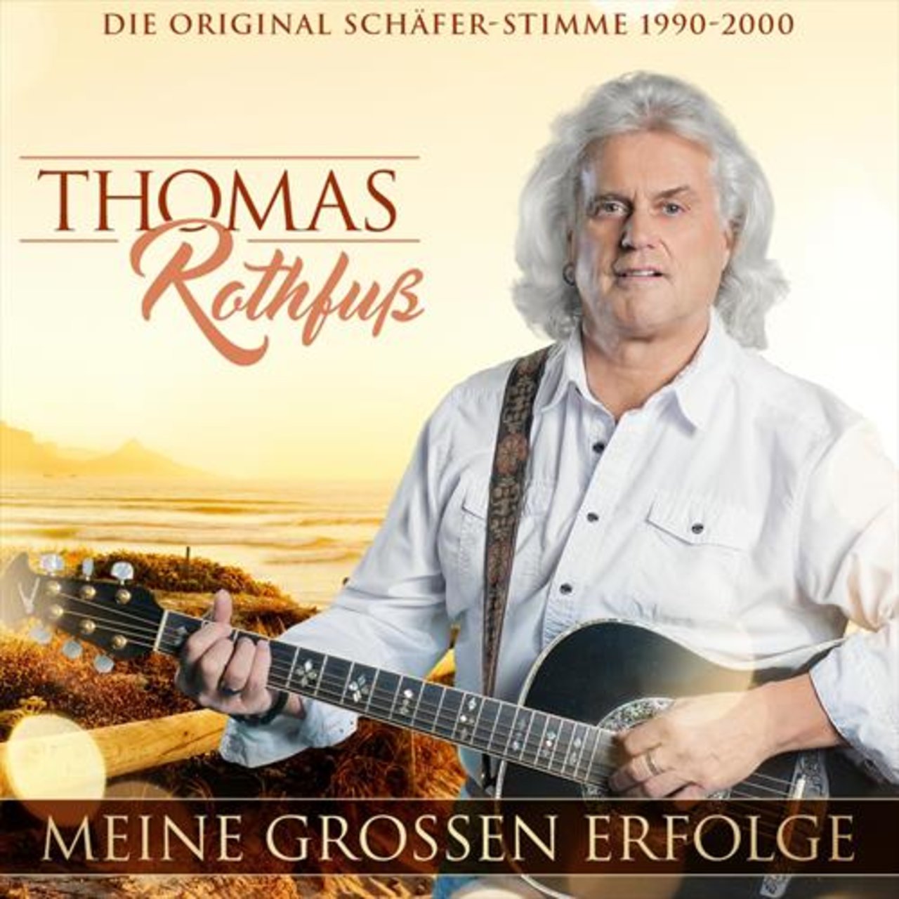 Cover: Meine großen Erfolge